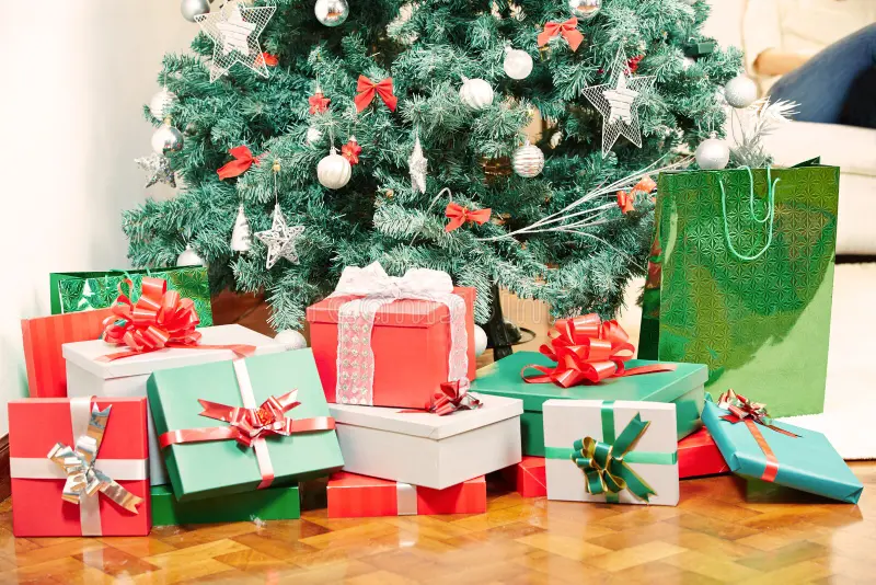 200+ Cute and Funny Christmas Gift Captions for Every Mood